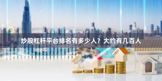 炒股杠杆平台排名有多少人？大约有几百人